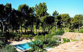 Les Pieds Tanqués - Bed&Breakfast-Spa